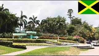 Hope Gardens Kingston Jamaica and Chinese Garden