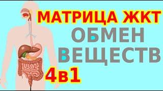 Матрица Гаряева: Органы пищеварения и Обмен веществ, программа №4. Медитация 4в1 с формулами для ЖКТ