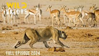 THRIVING IN THE SAVANNAH | The Role of Speed in Survival | Animal documentary