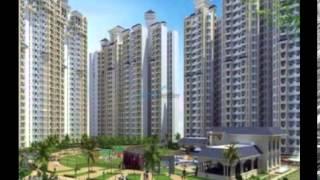 Resale Amrapali Silicon City 9910155922 , Amrapali Silicon City Resale Flats