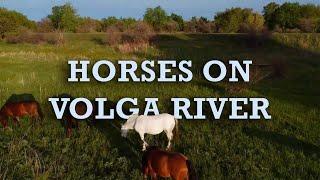 Hidden Gems of the Volga River - Russia Drone Video in 4K