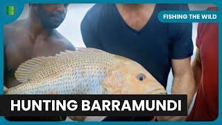 Catch Big Barramundi! - Fishing The Wild - Nature Documentary