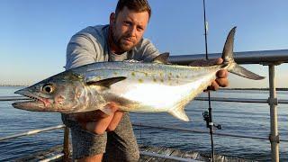 Spanish Mackerel Ceviche! Catch & Cook 9/4/24 Surf Fishing Long Island, New York