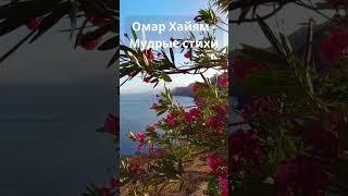 Омар Хайям "Мудрые стихи"#shorts
