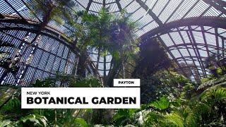 Exploring the Stunning Beauty of New York Botanical Garden: A Tour of its Top Attractions
