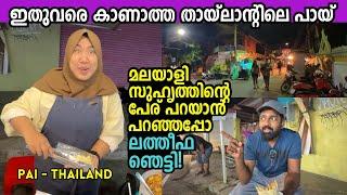 ഇവിടെ ​ഇങ്ങനെയൊക്കെ നാടുകളും മനുഷ്യരും ഉണ്ട്! Chiang Mai to Pai - Exploring Northern Thailand