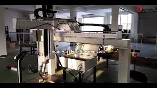 3 Axis Cartesian Robot, Industrial Cartesian Gantry Robot Actuators