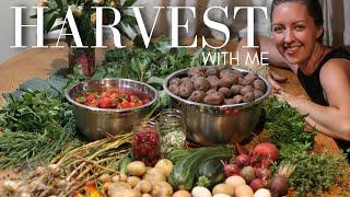 An Abundant Garden HARVEST in June! 1/4 Acre Homestead