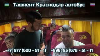 60) Ташкент-Краснодар автобус | Краснодар-Ташкент автобус | Krasnodar -Toshkent | Toshkent-Krasnodar