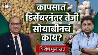 Cotton, Soybean Market : नोव्हेंबर, डिसेंबरमध्ये कापूस आणि सोयाबीनला काय भाव मिळेल? | Agrowon