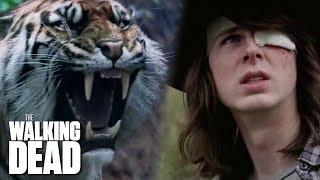 Shiva Saves Carl | The Walking Dead Classic Scene | Ep 716