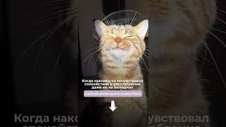 Как почувствовать Рэйки?