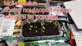 Мої терміни посіву помідорів, перцю, капусти на розсаду. Провірила насіння капусти на схожість.