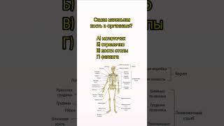 Сколько правильных ответов получилось у тебя? #биология #егэ #егэ2023 #огэ #biology #shorts