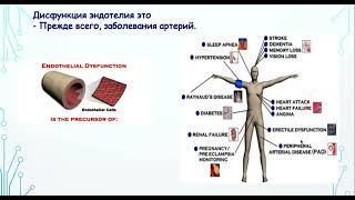 Дисфункция эндотелий из-за стресса. Очень важно для пациентов с неврозом