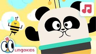 BEES BUZZ CHANT   Alliteration Songs for kids | Lingokids