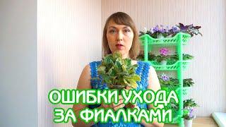 Ошибки ухода | КОШМАРНАЯ ФИАЛКА | Советы по уходу за фиалками #16 | Мои фиалки