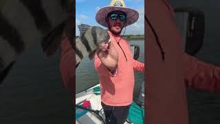 Catching more fish #fishing #fishingtips #fishing life#fishingvideo #fish #boating #boatlife #boat
