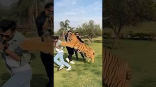 Tiger Dangerously Attacks on Boy | Nouman Hassan |