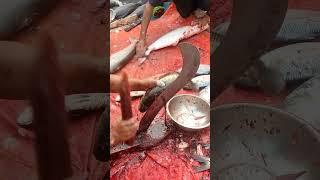 Amazing Sola Fish Cutting. #fishcutting #fishcutting_skills