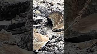30sec Travel - A tour of Nasu Tochigi Pref, Japan - 3h from Tokyo