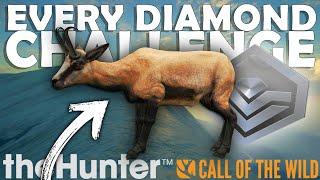 HARDEST DIAMOND in the GAME is MINE!!! - COTW Every Diamond Challenge Ep. 12