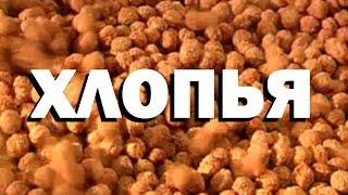 Галилео. Хлопья  Cereal