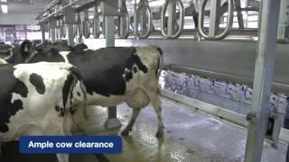 DeLaval Champion Parallel Parlor