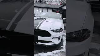 mustang2019#carfever#spector#carlovers@spectopia