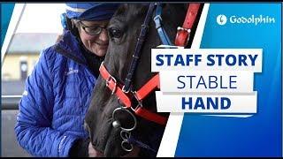 Spend a morning with stable hand Rachel at Carbine Lodge, Australia