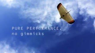 Dream-Flight Weasel-TREK RC slope glider