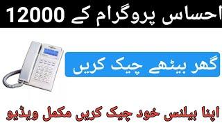 8171 Ehsaas Program || Ehsaas program 12000 check karne ka tarika || Ehsaas Program In Urdu By Abid