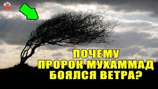 ЧТО НА САМОМ ДЕЛЕ МОЖЕТ НЕСТИ В СЕБЕ ВЕТЕР И ДОЖДЬ? ПОЧЕМУ ПРОРОК БОЯЛСЯ ВЕТРА?