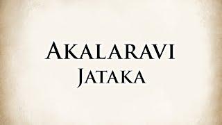 The Noisy Rooster | Akalaravi Jataka | Animated Buddhist Stories