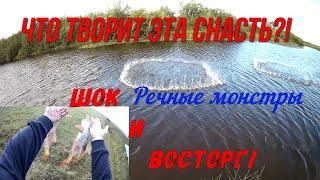 Вот это улов!!! Шок и восторг от рыбалки!!!