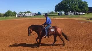 Don't blink or you'll miss the lead change by Craig Johnson Open Ranch Riding