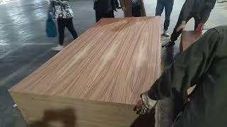 ONSUN Parota Plywood Manufacturer Production line