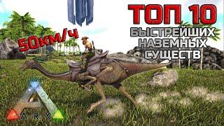 ТОП 10 Самых быстрых наземных существ в ARK Survival Evolved