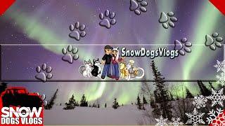 Snow Dogs Vlogs  Previously LIVE Q and A