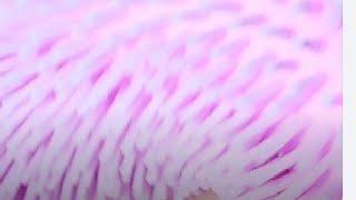 Anti-stress fluppy ball. #asmr