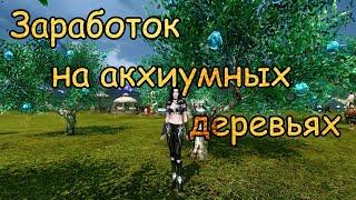 #128 ArcheAge. Заработок на акхиумных деревьях. Где взять акхиумную древесину