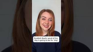 Learn Scottish Gaelic | How To Say ‘Dog’ In Scottish Gaelic (with phonetics)