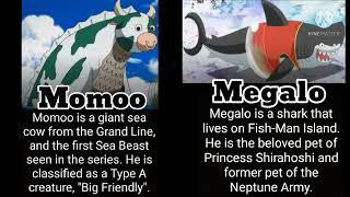 One Piece All Pets Seen In The Series