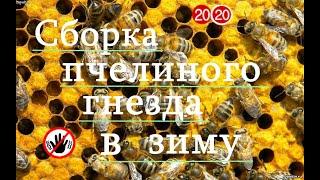 Сборка пчелиного гнезда на зиму  Пчеловодство 2020