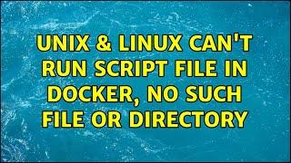 Unix & Linux: Can't run script file in docker, no such file or directory (2 Solutions!!)