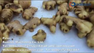 Full Automatic Ginger Washing Peeling and Slicing Line-Romiter Machinery