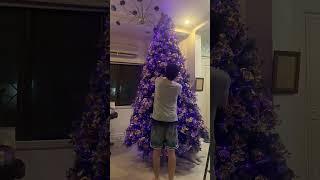 Our Christmas Tree setup from 2022 Timelapse  #christmastree