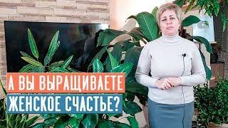 СПАТИФИЛЛУМ - ЖЕНСКОЕ СЧАСТЬЕ  Особенности выращивания / Садовый гид