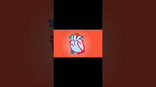 heart anatomy #student #trendingshorts #study #heart