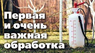 ОБРАБОТКА САДА РАННЕЙ ВЕСНОЙ. Мощный удар по вредителям и болезням